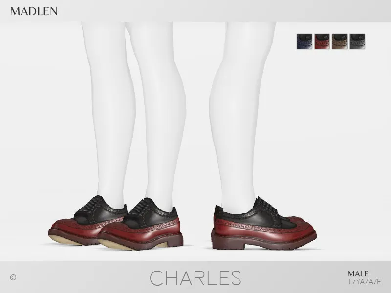 Madlen Charles Shoes