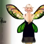 Aria Wings