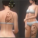 Barn Owl tattoos