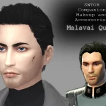 SWTOR Companion Overlays + Accessories