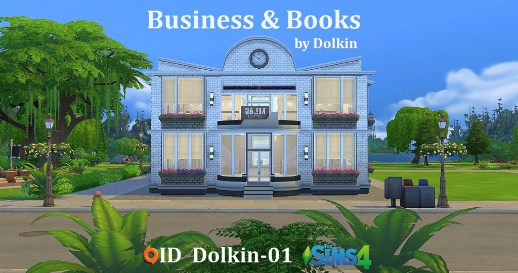 Business and Books lot