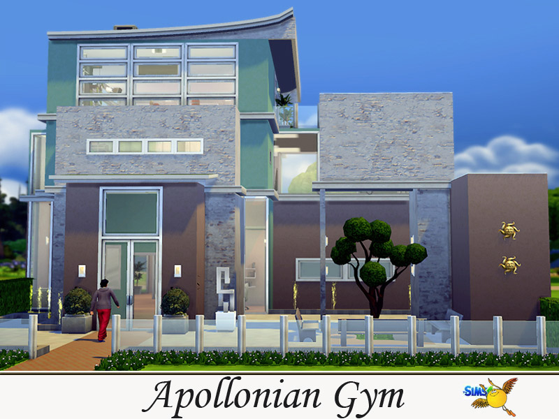 Apollonian Gym