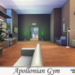 Apollonian Gym