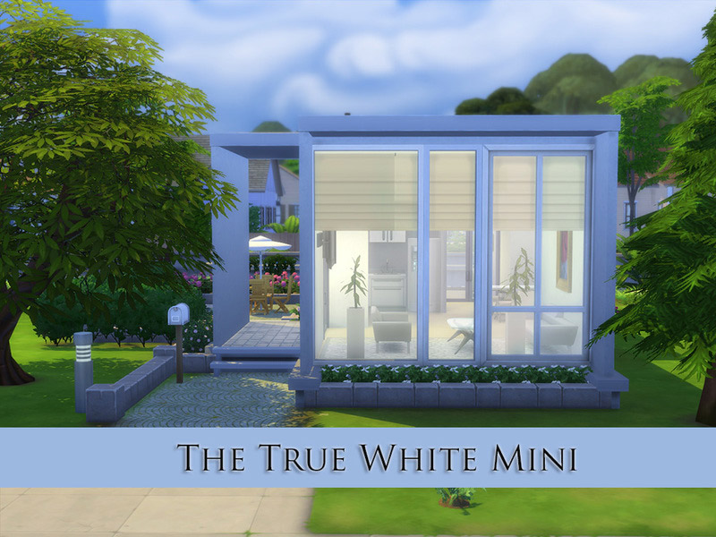The True White Mini