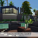 Industrial Loft