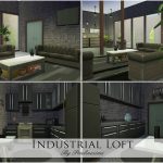 Industrial Loft