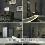 Industrial Loft