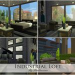 Industrial Loft