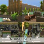 Industrial Loft