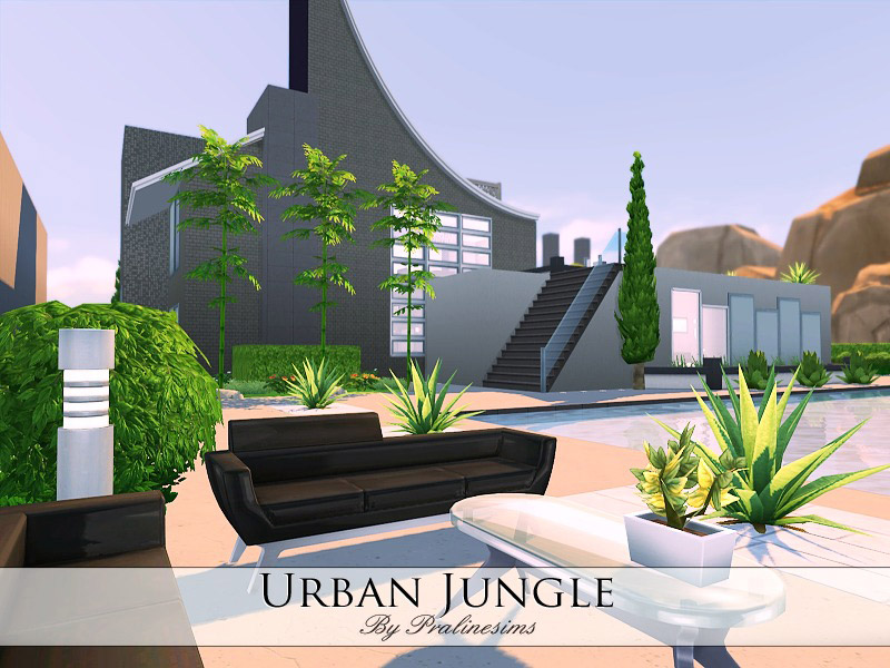 Urban Jungle