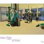 Millennium Gym