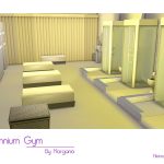 Millennium Gym