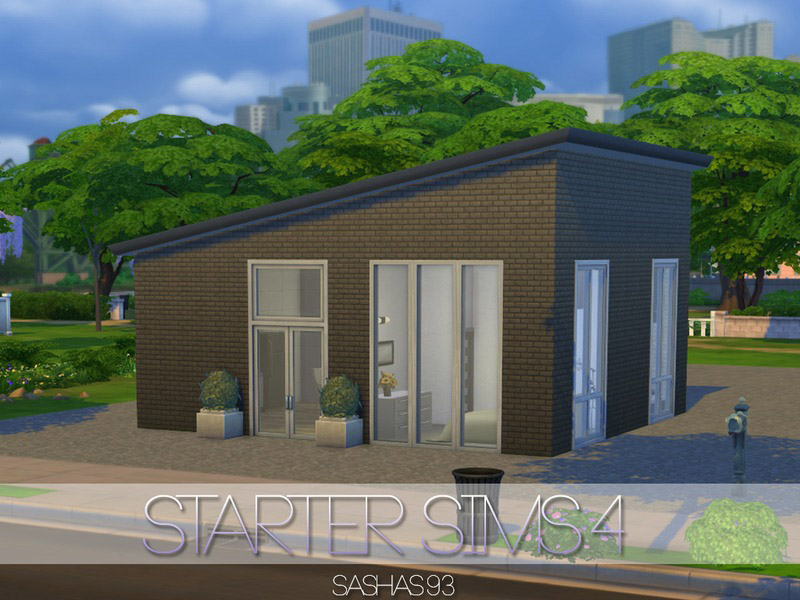 Starter Sims4