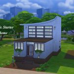 Artistic Starter Home